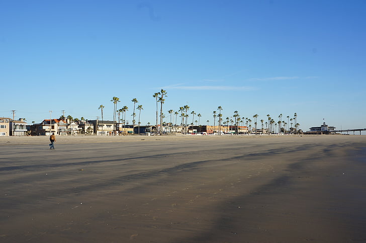 palmeiras, Califórnia, marcas de pneu, Estados Unidos da América, Costa, oceano, praia