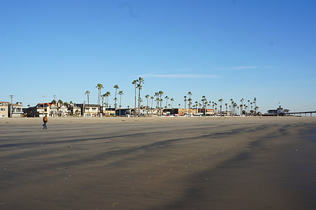 Palmové stromy, Kalifornie, stopy pneumatik, Spojené státy americké, pobřeží, oceán, pláž