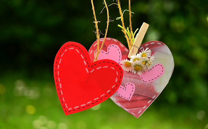 heart, love, red heart, valentine's day, friendship, wedding, pair