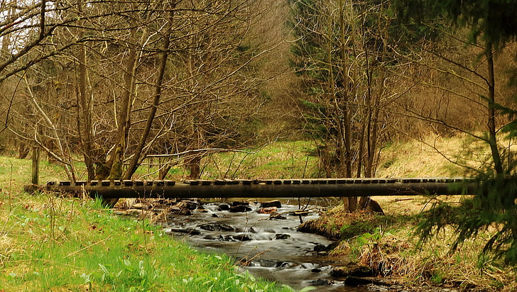 Eifel, Pearl valley, naturpark, Creek, Web, Nature reserve, national park