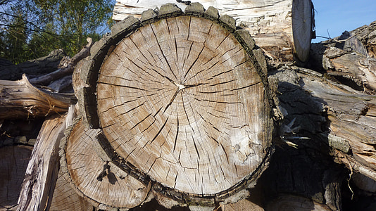 wood, log, nature, annual rings