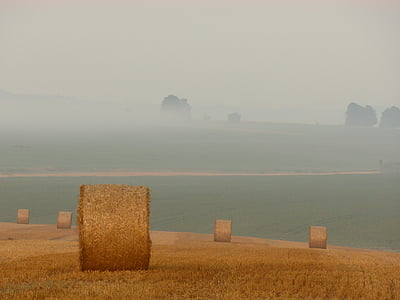 brown, hays, cloudy, day, grey, sky, farm