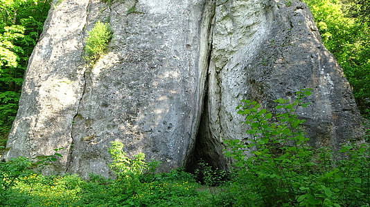 Felsen, Natur, Landschaft, Polen, Tourismus, Kalksteine, Grün