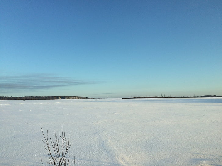 vinter, kalla, fältet, Frost, snö, fryst, Ryssland