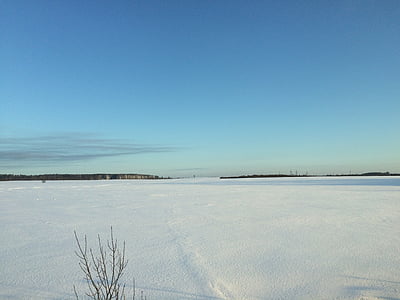 invierno, frío, campo, Frost, nieve, congelados, Rusia