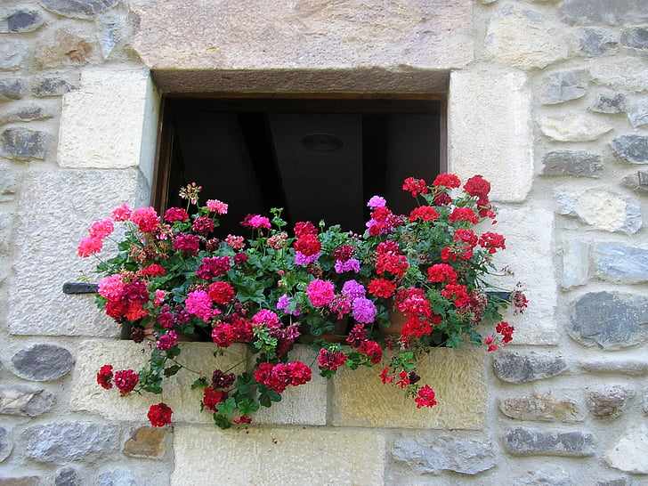 cvijeće, boje, cvatnje, kuća, cvijeće u prozoru, proljeće, ljeto