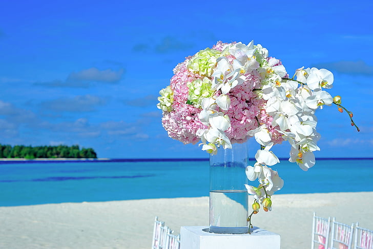 Atoll, dekorasi, dekorasi, tujuan, Toko bunga, bunga, Hotel