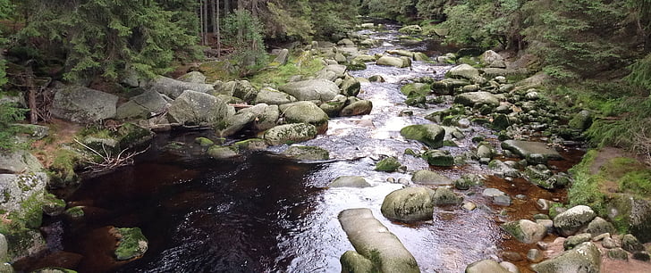 water, stones, stream, nature, šumava, forest, czech republic