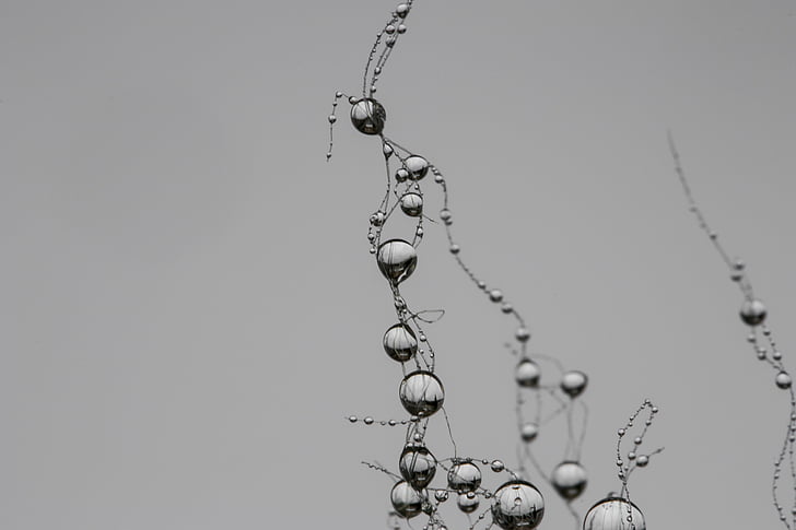 drop, network, synapse, pearl, gray, raindrop, villa