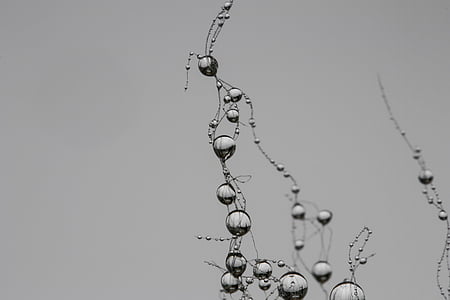 goccia, rete, sinapsi, perla, grigio, goccia di pioggia, Villa