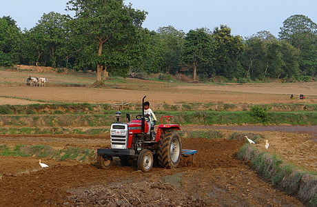traktor, rudo, obrađuje, oprema, Poljoprivreda, Karnataka, Indija