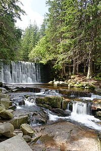 vattenfall, torrent, skogen, Stream, naturen, landskap, vatten