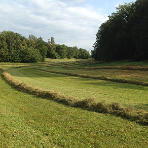 Castle park, nymphenburger, efterår, græs, landskab, natur, München