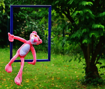 out of the ordinary, the pink panther, funny, anders, unusual, untypical, picture frame