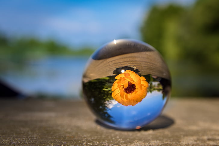 glass ball, nature, clear