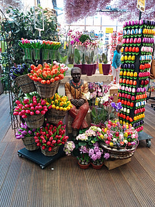 tulpės, parduotuvė, vyras, gėlės
