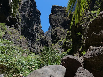 barranc de Masca, Roca, congost, caminada, Tenerife, Illes Canàries, muntanyes