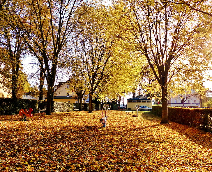 playground, residential development, settlement, play, golden, autumn, fall foliage