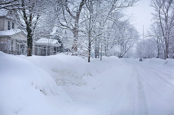 zasněžené ulice, Hluboký sníh, Zimní, Michigan, ledové, ze, chlad