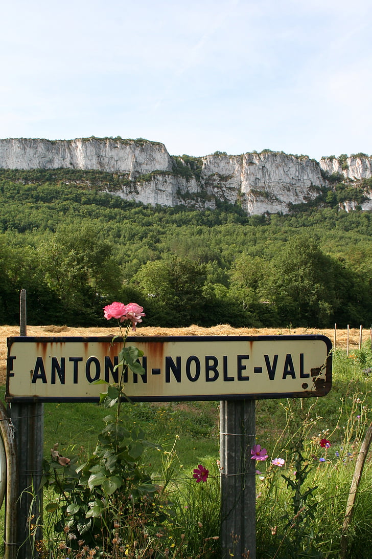 Midi-Pyrénées, Antonin noble val, Francia, fiore, natura, montagna, vista
