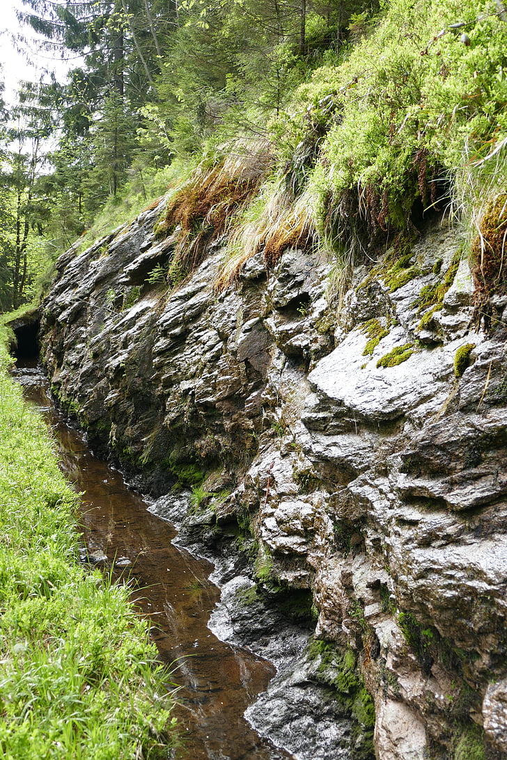 Creek, agua, foso de Rehberger, naturaleza, roca, bosque