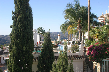 palmės, Kosta del Solis regione, Ispanija, Aida puebla, Mijas costa mieste, baseinas, poilsis
