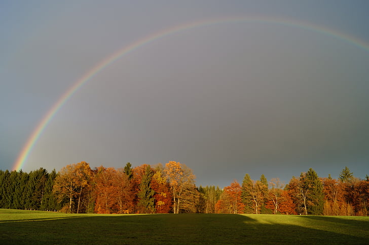 Rainbow, sateenkaaren värit, Metsä, maisema, sadetta