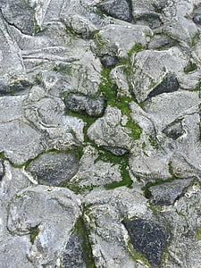 pedras, proteção de margem, Mar do Norte, algas marinhas, mar, Costa, abandonada