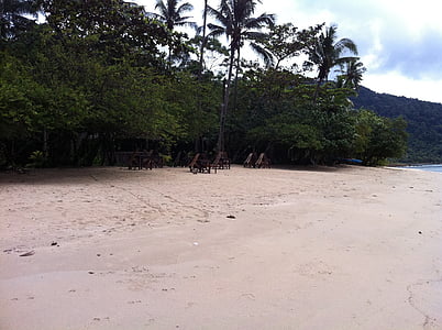 Koh chang, plage, Tropical, nature, sable, arbre, climat tropical