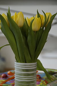 tulipanes, ramo de tulipán, ramo de la, primavera, flor de primavera, Strauss, planta