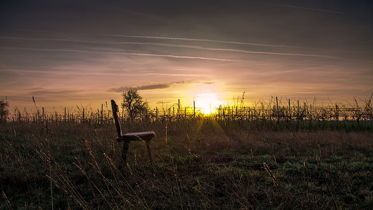 Zdjęcie, jadalnia, krzesło, umieszczone, traw, zachód słońca, światło słoneczne