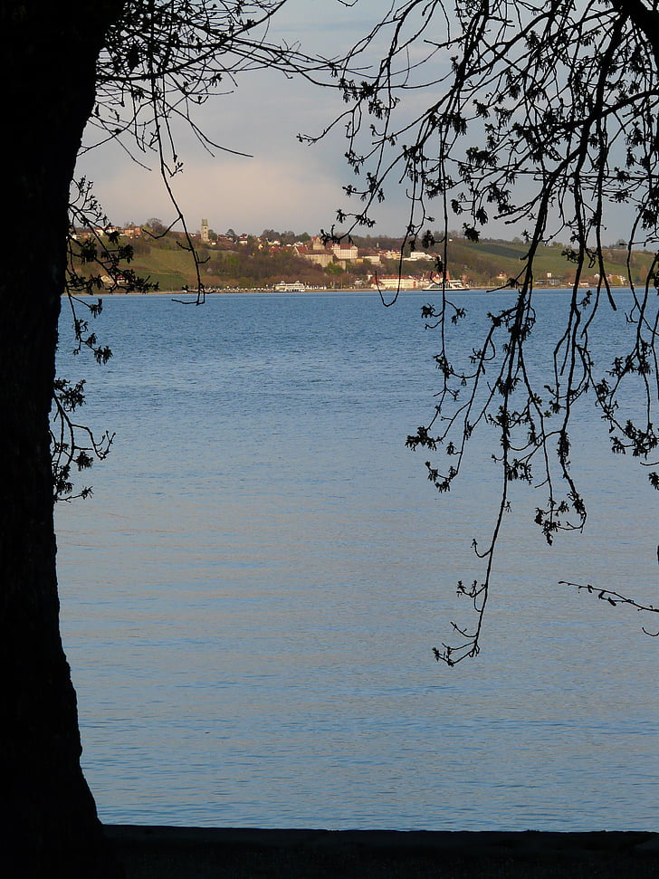 Меерсбург, Боденското езеро, езеро, град, пейзаж, дърво, идилия