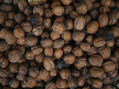 walnut, nuts, nut, food, fruits, healthy, walnuts