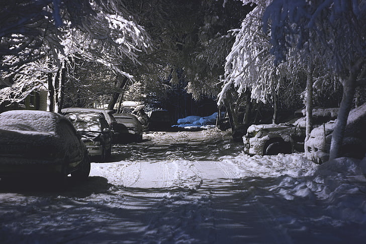 автомобили, студено, път, сняг, дървета, превозни средства, зимни