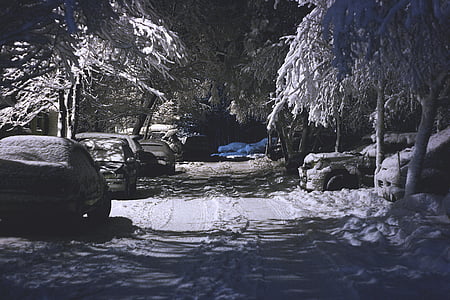Автомобили, холодная, дорога, снег, деревья, транспортные средства, Зима