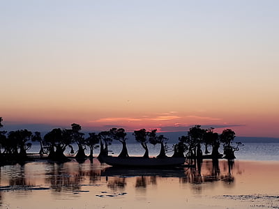 Strand, Mangrove, Sonnenuntergang