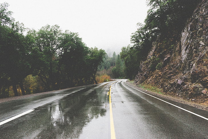 highway, trees, rock, formation, road, puddles, wet