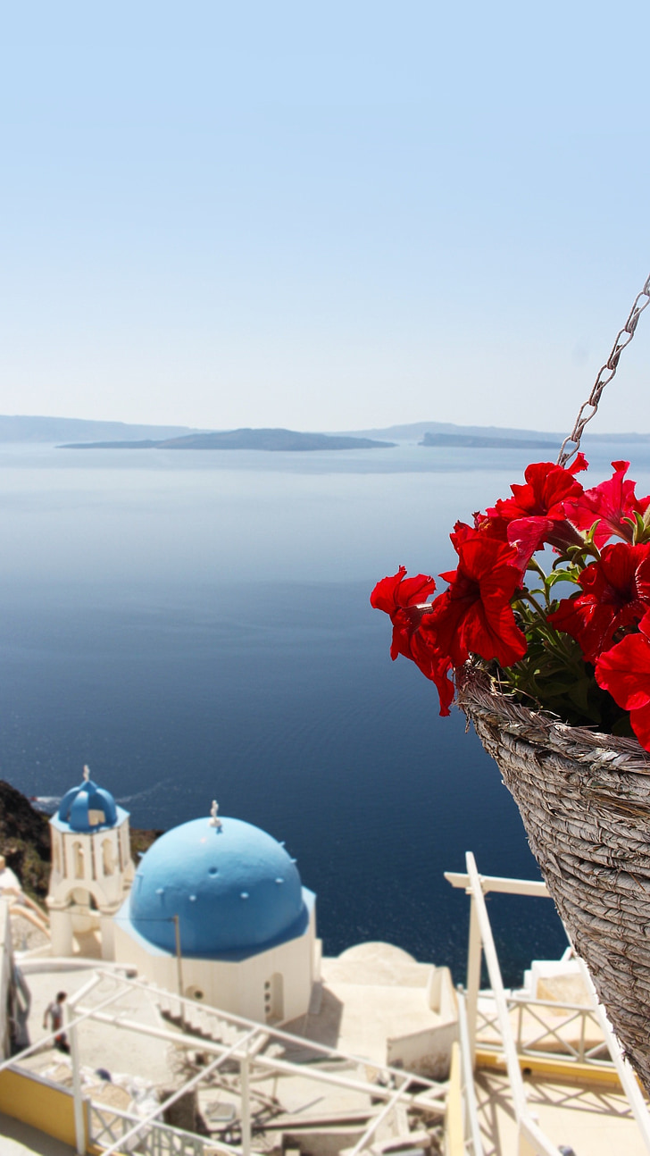 laut, bunga, rumah dome, Santorini, Oia, Kepulauan Cyclades, biru