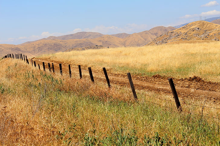 paysage, escrime, fil de fer barbelé, Californie, été, rural, Scenic
