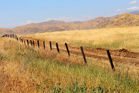 cảnh quan, hàng rào, dây thép gai, California, mùa hè, nông thôn, danh lam thắng cảnh