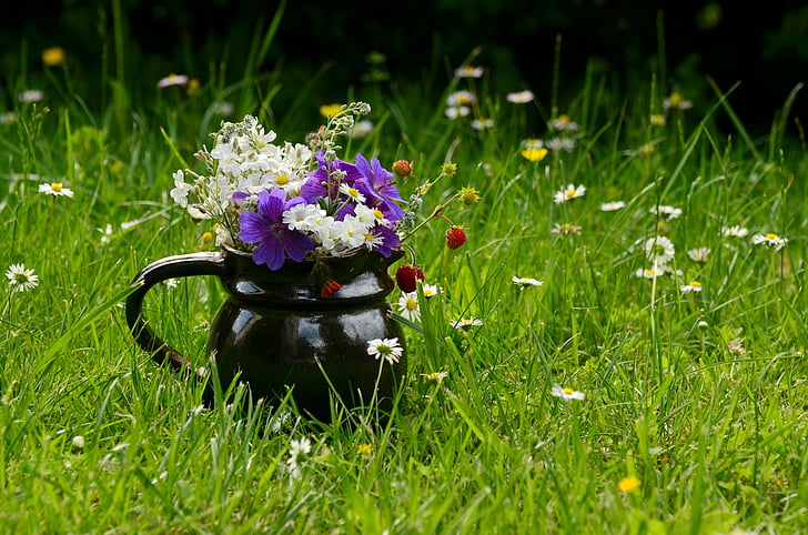 bunga Padang rumput, karangan bunga, bunga-bunga liar, musim panas, warna-warni, vas bunga, rumput