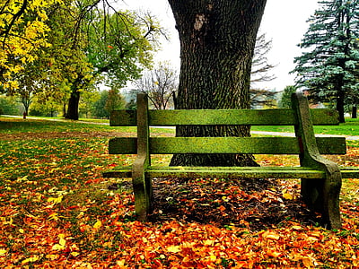 park bench, fall, fall leaves