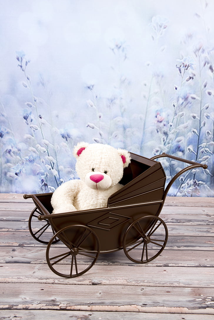 teddy bear, plush, toy, the mascot, cuddly, sitting, stroller