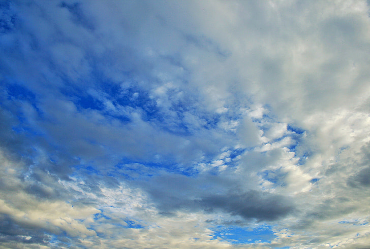 clouds, weather, sky, blue, white, loose, flocky