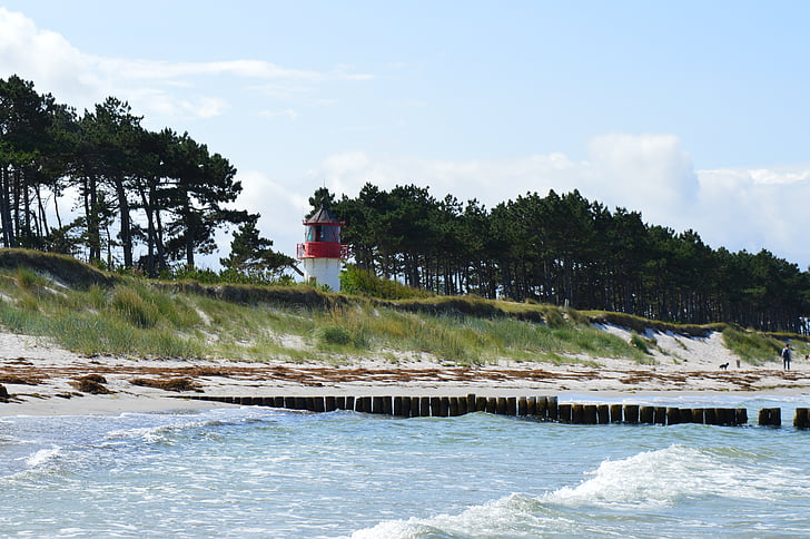 hiddensee, baltic sea, sea, wave, lighthouse, pine, nature