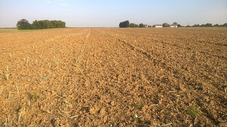 field, ploughed, suffolk, soil, crop, farm, sky