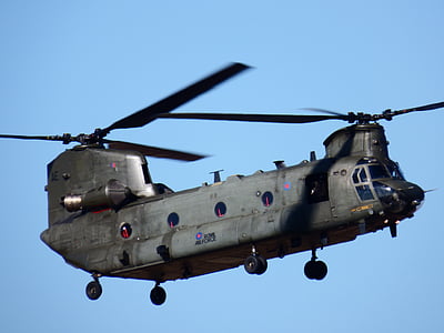 Chinook, helikopter, Angkatan Darat, transportasi, helikopter, militer, Angkatan Udara