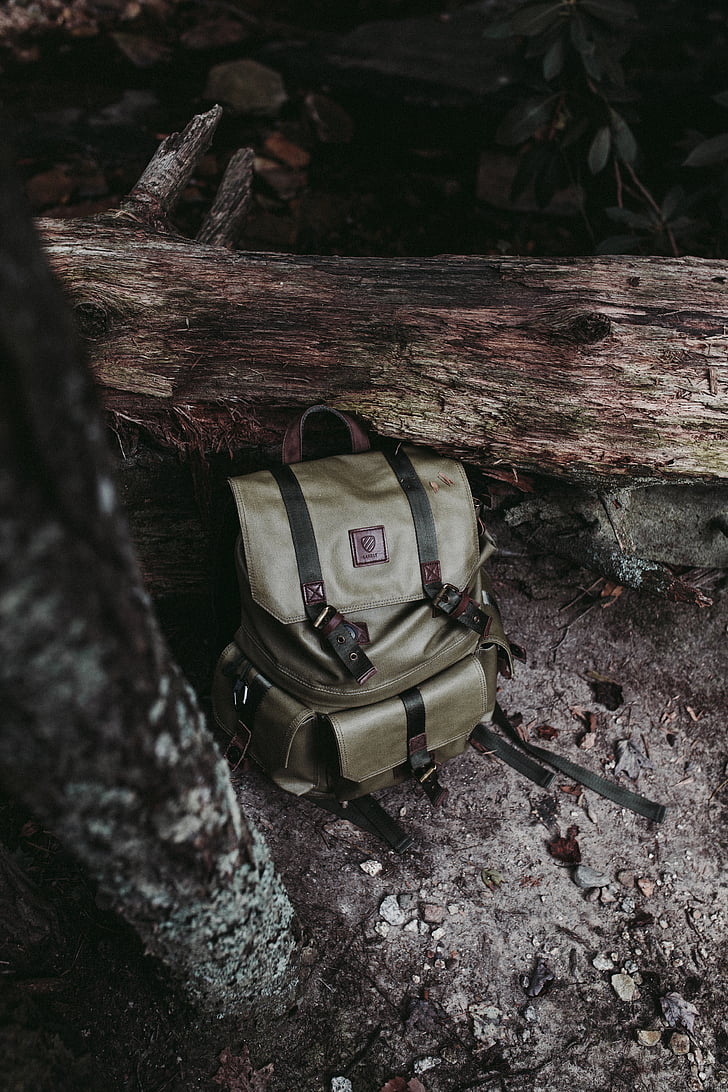 backpack, bag, ground, log, outdoors, soil, wood