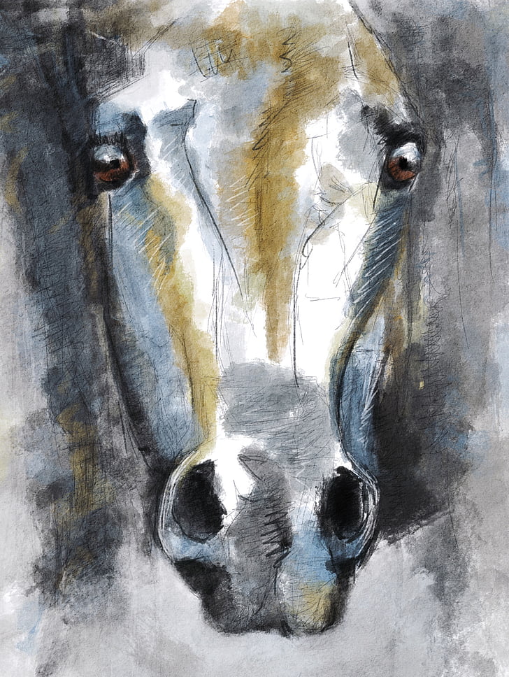 ilustrácie, kôň, zviera, Konská hlava, portrét, žiadni ľudia, detail