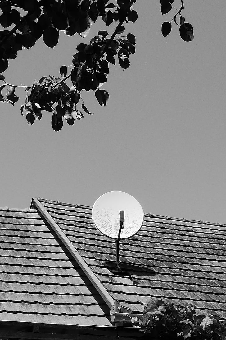 satellite dish, tv, watch tv, reception, transmitter, roof, assembly